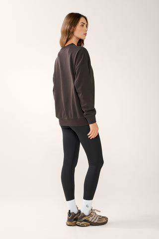 COLLEGIATE SIGNATURE SWEATER CHOCOLATE